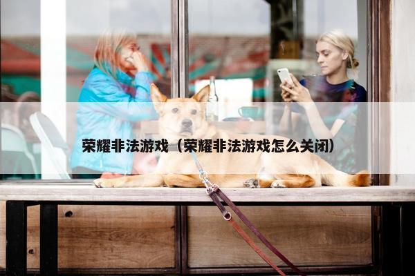 荣耀非法游戏（荣耀非法游戏怎么关闭）