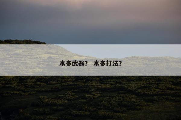 本多武器？ 本多打法？