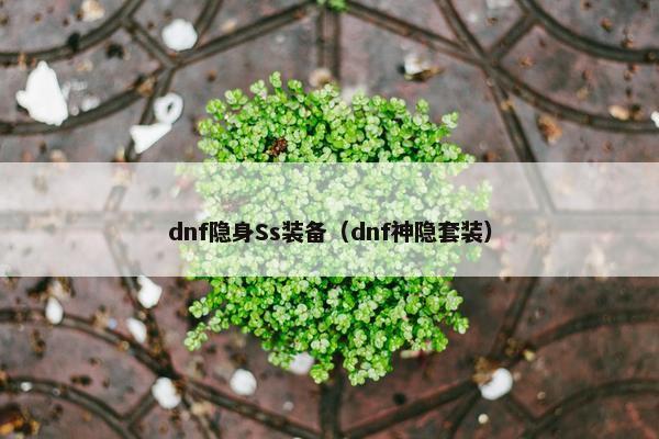dnf隐身Ss装备（dnf神隐套装）