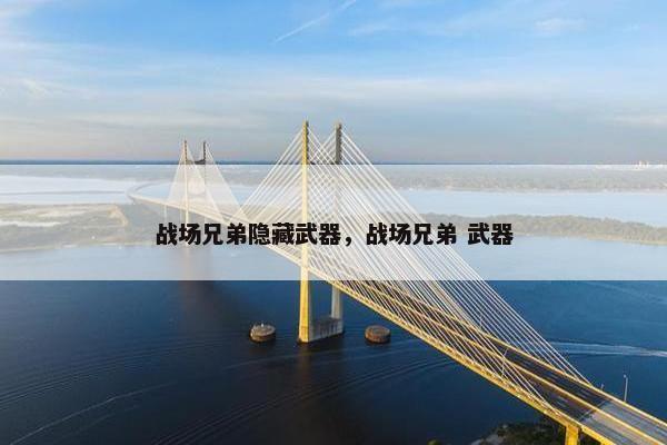 战场兄弟隐藏武器，战场兄弟 武器