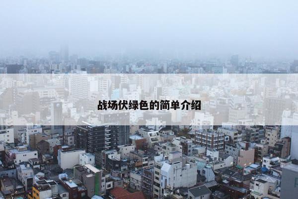 战场伏绿色的简单介绍 战场伏绿色的简单介绍