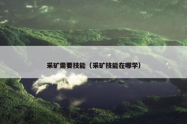 采矿需要技能(采矿技能在哪学) 采矿需要技能(采矿技能在哪学)