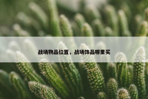 战场物品位置,战场饰品哪里买 战场物品位置,战场饰品哪里买