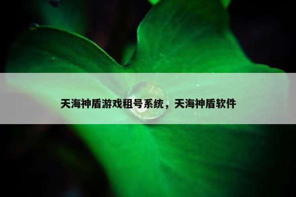 天海神盾游戏租号系统,天海神盾软件 天海神盾游戏租号系统,天海神盾软件