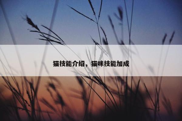 猫技能介绍,猫咪技能加成 猫技能介绍,猫咪技能加成