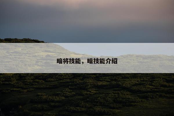 暗将技能,暗技能介绍 暗将技能,暗技能介绍
