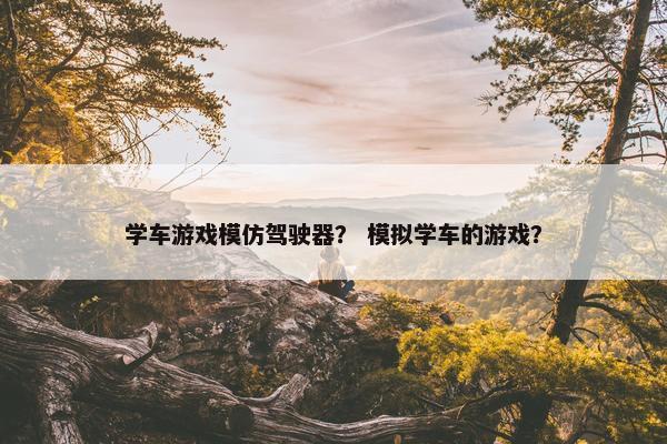 学车游戏模仿驾驶器? 模拟学车的游戏? 学车游戏模仿驾驶器? 模拟学车的游戏?