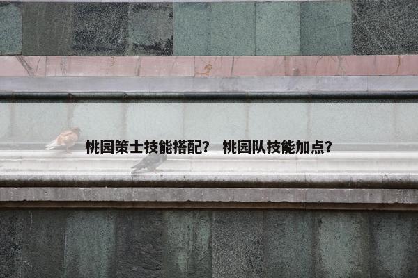 桃园策士技能搭配？ 桃园队技能加点？