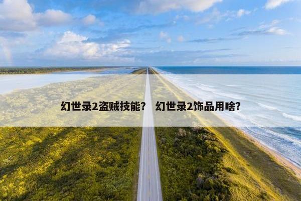 幻世录2盗贼技能? 幻世录2饰品用啥? 幻世录2盗贼技能? 幻世录2饰品用啥?