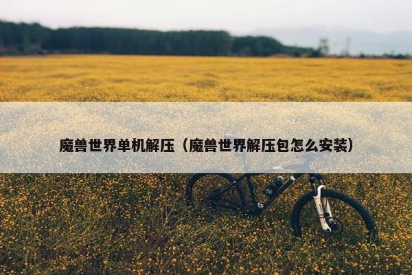 魔兽世界单机解压（魔兽世界解压包怎么安装）