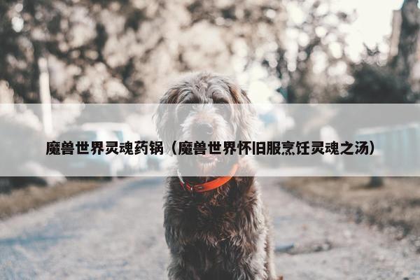 魔兽世界灵魂药锅(魔兽世界怀旧服烹饪灵魂之汤) 魔兽世界灵魂药锅(魔兽世界怀旧服烹饪灵魂之汤)