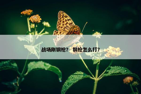 战场刚钢枪? 钢枪怎么打? 战场刚钢枪? 钢枪怎么打?
