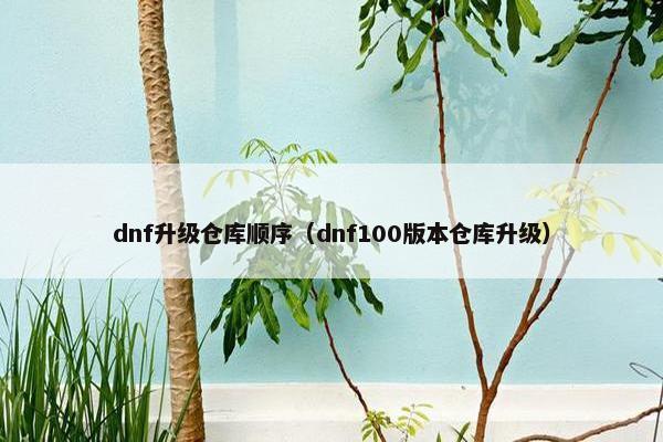 dnf升级仓库顺序(dnf100版本仓库升级) dnf升级仓库顺序(dnf100版本仓库升级)