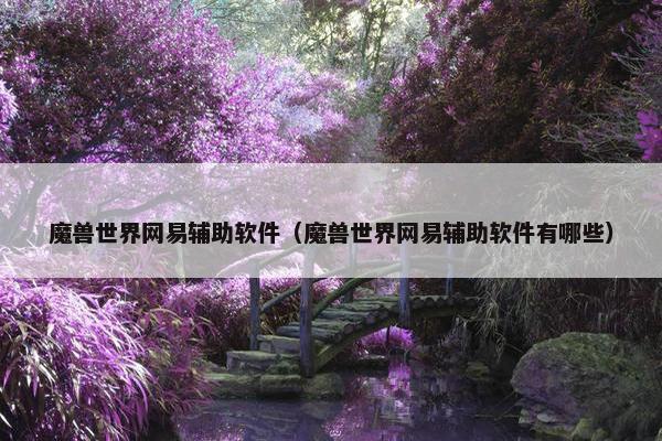 魔兽世界网易辅助软件(魔兽世界网易辅助软件有哪些) 魔兽世界网易辅助软件(魔兽世界网易辅助软件有哪些)