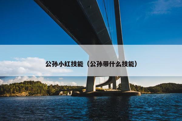 公孙小红技能（公孙带什么技能）