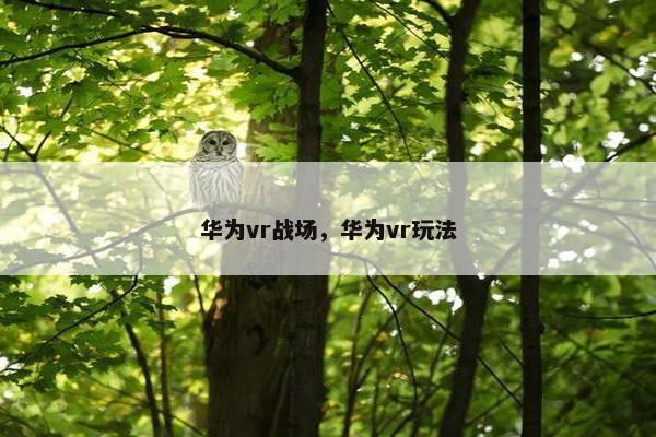 华为vr战场,华为vr玩法 华为vr战场,华为vr玩法