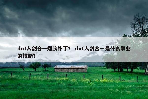 dnf人剑合一翅膀补丁？ dnf人剑合一是什么职业的技能？