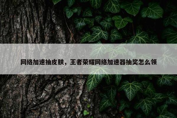 网络加速抽皮肤,王者荣耀网络加速器抽奖怎么领 网络加速抽皮肤,王者荣耀网络加速器抽奖怎么领