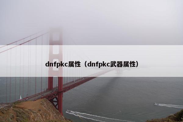 dnfpkc属性（dnfpkc武器属性）