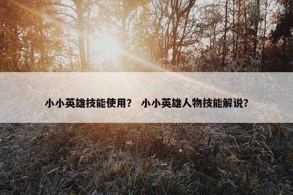 小小英雄技能使用? 小小英雄人物技能解说? 小小英雄技能使用? 小小英雄人物技能解说?