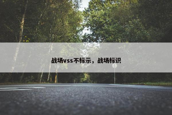 战场vss不标示,战场标识 战场vss不标示,战场标识