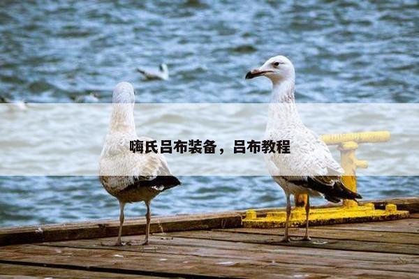 嗨氏吕布装备,吕布教程 嗨氏吕布装备,吕布教程