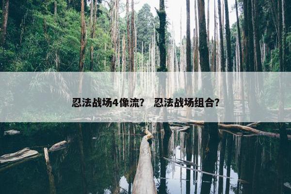 忍法战场4像流？ 忍法战场组合？