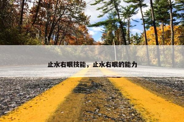 止水右眼技能,止水右眼的能力 止水右眼技能,止水右眼的能力