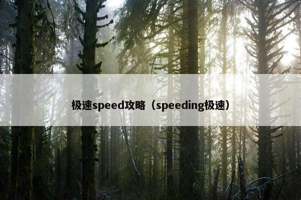 极速speed攻略（speeding极速）