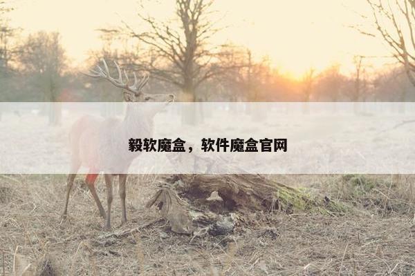 毅软魔盒，软件魔盒官网