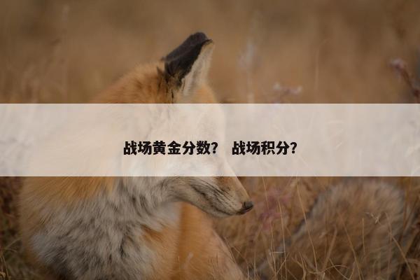 战场黄金分数？ 战场积分？