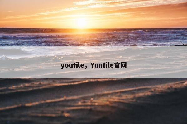 youfile，Yunfile官网