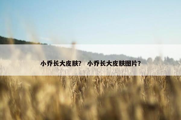 小乔长大皮肤？ 小乔长大皮肤图片？