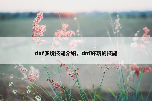 dnf多玩技能介绍，dnf好玩的技能