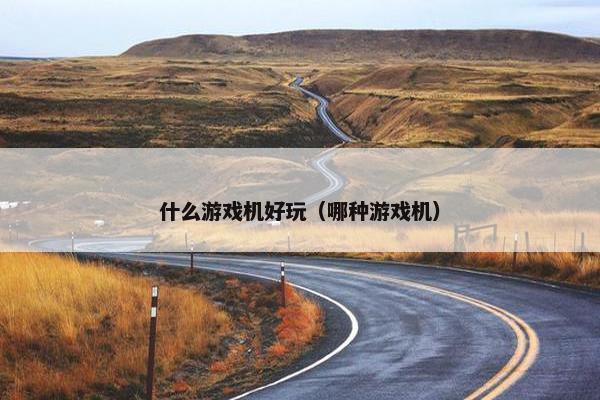 什么游戏机好玩(哪种游戏机) 什么游戏机好玩(哪种游戏机)