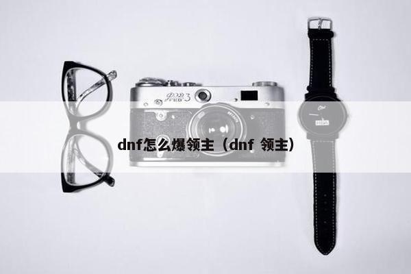 dnf怎么爆领主（dnf 领主）