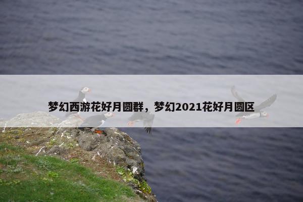 梦幻西游花好月圆群，梦幻2021花好月圆区