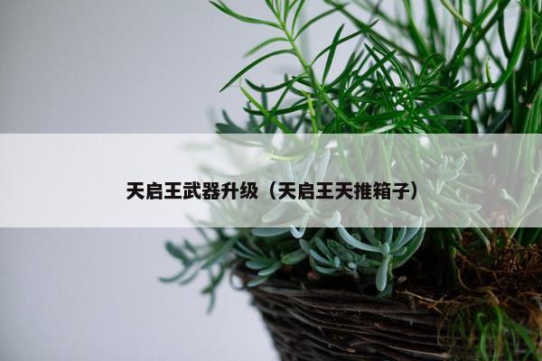 天启王武器升级(天启王天推箱子) 天启王武器升级(天启王天推箱子)