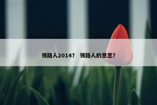 领路人2014？ 领路人的意思？
