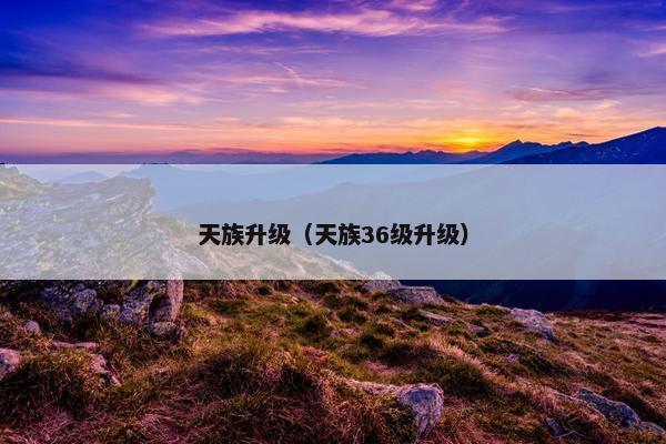 天族升级(天族36级升级) 天族升级(天族36级升级)