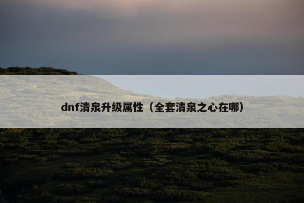 dnf清泉升级属性（全套清泉之心在哪）
