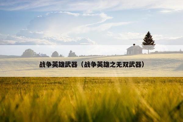 战争英雄武器(战争英雄之无双武器) 战争英雄武器(战争英雄之无双武器)