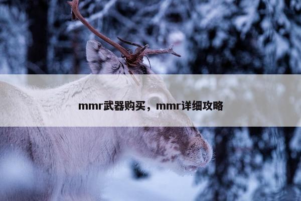 mmr武器购买，mmr详细攻略
