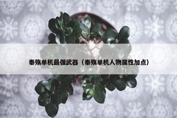 秦殇单机最强武器（秦殇单机人物属性加点）