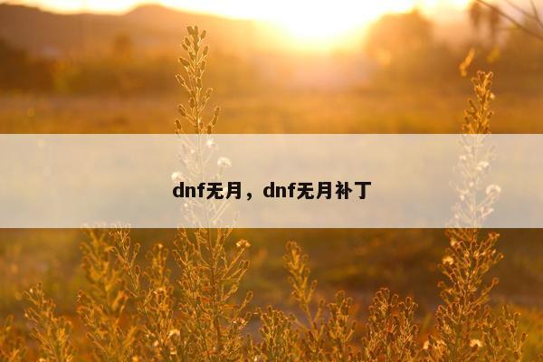 dnf无月，dnf无月补丁