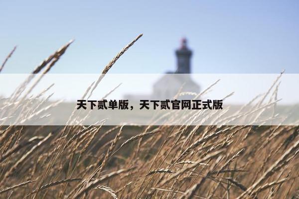 天下贰单版,天下贰官网正式版 天下贰单版,天下贰官网正式版