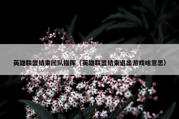 英雄联盟结束团队指挥(英雄联盟结束退出游戏啥意思) 英雄联盟结束团队指挥(英雄联盟结束退出游戏啥意思)