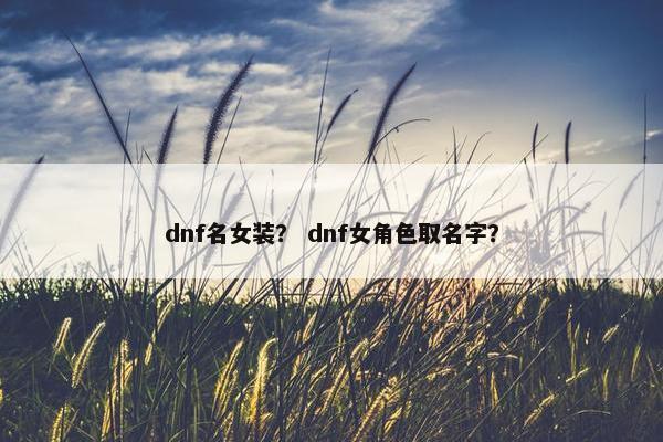 dnf名女装？ dnf女角色取名字？