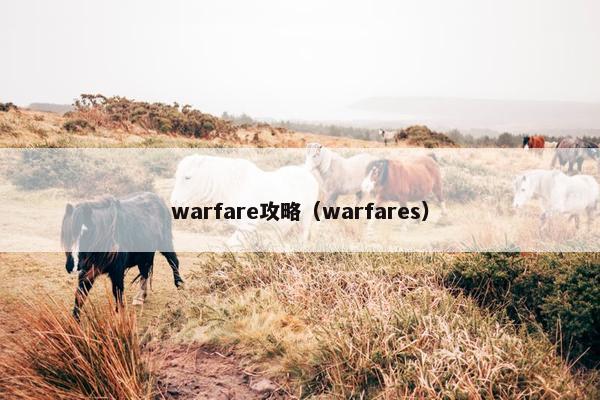 warfare攻略(warfares) warfare攻略(warfares)