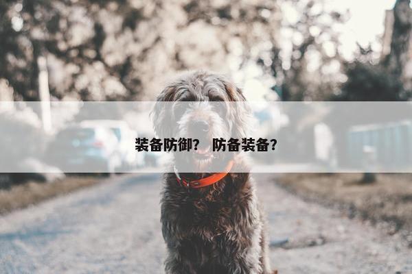 装备防御? 防备装备? 装备防御? 防备装备?